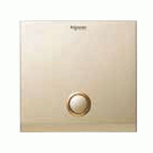 Plastic cover plate - Champagne Gold